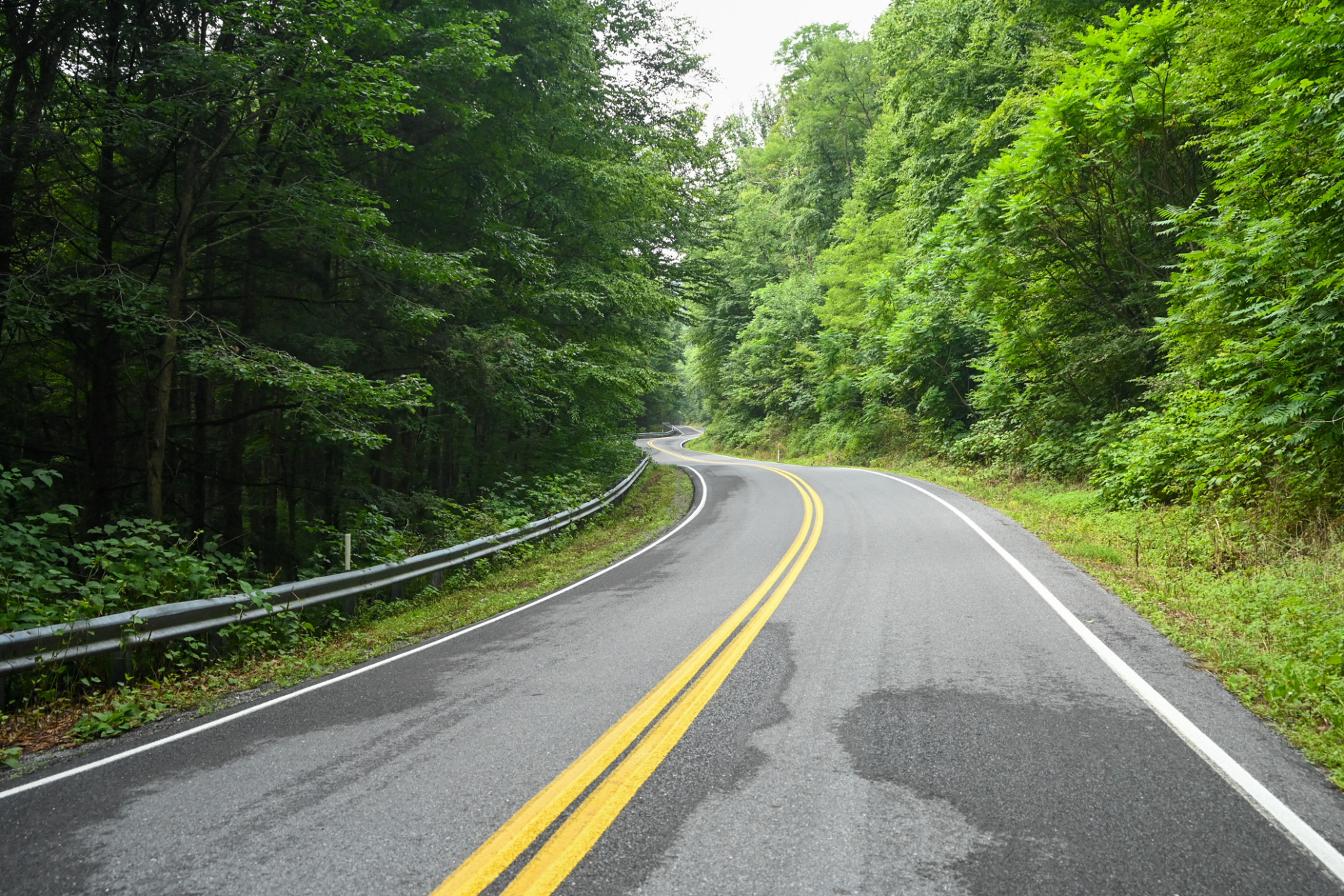 Route 144 named Road of the Year by Hagerty Insurance